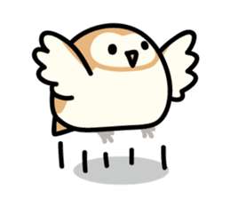 Snowy Owl and Barn Owl sticker #561597