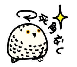 Snowy Owl and Barn Owl sticker #561598