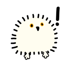 Snowy Owl and Barn Owl sticker #561603