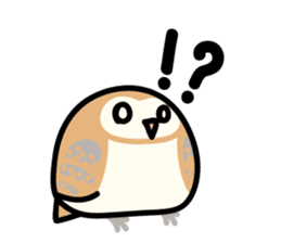 Snowy Owl and Barn Owl sticker #561604