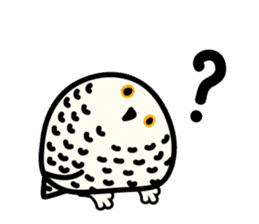 Snowy Owl and Barn Owl sticker #561605