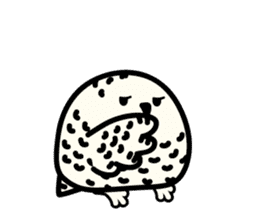 Snowy Owl and Barn Owl sticker #561607