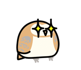 Snowy Owl and Barn Owl sticker #561608