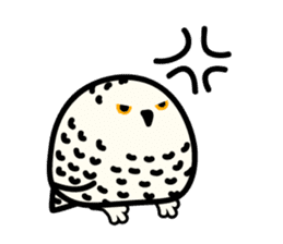Snowy Owl and Barn Owl sticker #561609