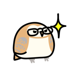 Snowy Owl and Barn Owl sticker #561610