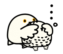 Snowy Owl and Barn Owl sticker #561616