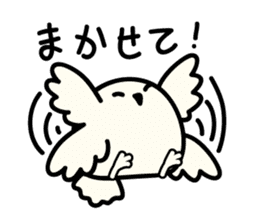 Snowy Owl and Barn Owl sticker #561621