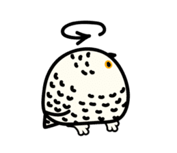 Snowy Owl and Barn Owl sticker #561623
