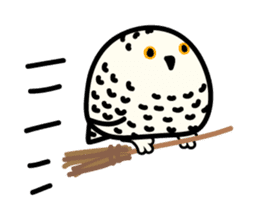 Snowy Owl and Barn Owl sticker #561630