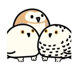 Snowy Owl and Barn Owl sticker #561631