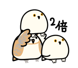 Snowy Owl and Barn Owl sticker #561632