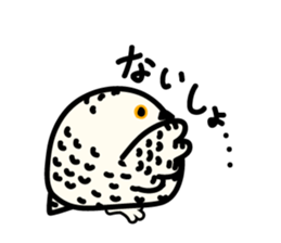 Snowy Owl and Barn Owl sticker #561633