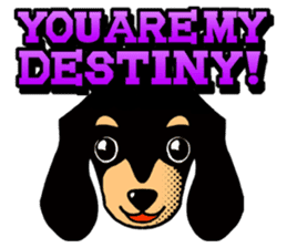 Dogs,Cats and Love Umbrellas1(English) sticker #562923