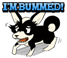 Dogs,Cats and Love Umbrellas1(English) sticker #562928