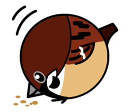 Cute Sparrow sticker #563201