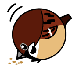 Cute Sparrow sticker #563201