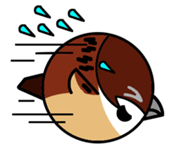 Cute Sparrow sticker #563207