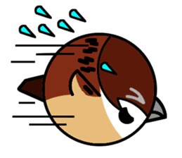 Cute Sparrow sticker #563207