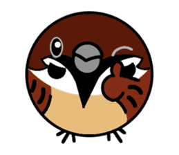 Cute Sparrow sticker #563226