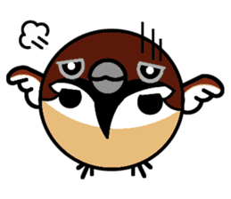 Cute Sparrow sticker #563227