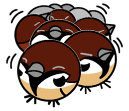 Cute Sparrow sticker #563232