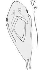 Edward and Saburo sticker #563454