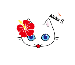 Southern cat. sticker #563634