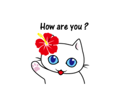 Southern cat. sticker #563635