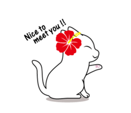 Southern cat. sticker #563636