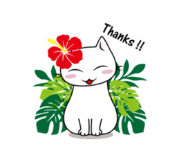 Southern cat. sticker #563637