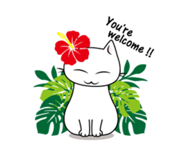 Southern cat. sticker #563638