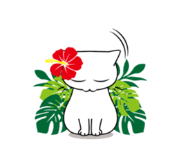 Southern cat. sticker #563639