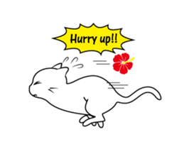 Southern cat. sticker #563655