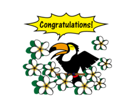 Southern cat. sticker #563665