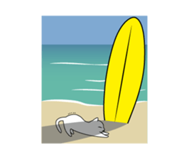 Southern cat. sticker #563669