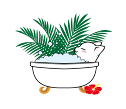 Southern cat. sticker #563671