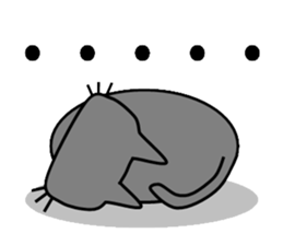 white socks sticker #565910