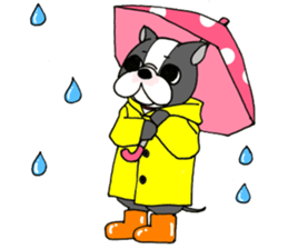 pekipekipekingese sticker #566997