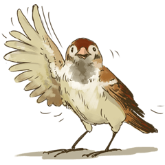 Chik Chirik the sparrow