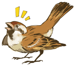 Chik Chirik the sparrow sticker #570195