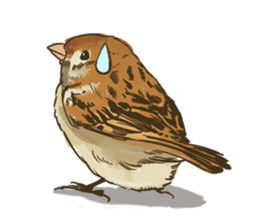 Chik Chirik the sparrow sticker #570197