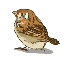 Chik Chirik the sparrow sticker #570197
