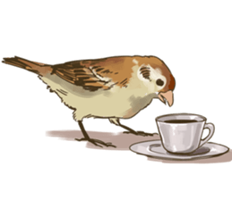 Chik Chirik the sparrow sticker #570199