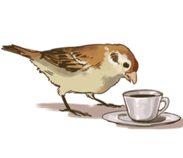 Chik Chirik the sparrow sticker #570199
