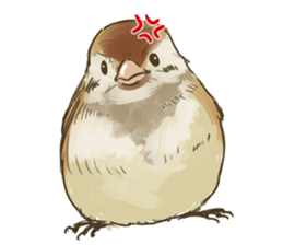 Chik Chirik the sparrow sticker #570201