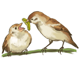 Chik Chirik the sparrow sticker #570202