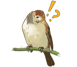Chik Chirik the sparrow sticker #570203