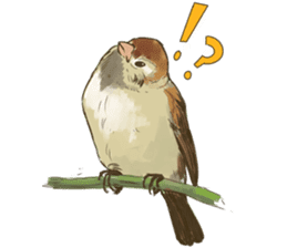 Chik Chirik the sparrow sticker #570203