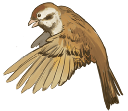 Chik Chirik the sparrow sticker #570205