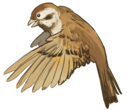 Chik Chirik the sparrow sticker #570205